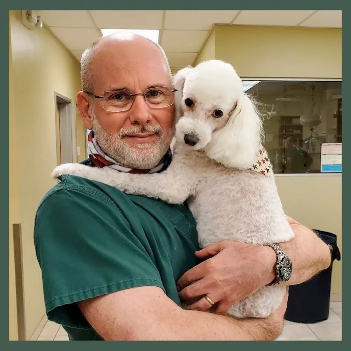 Cinco Ranch Veterinary Hospital Picture 2