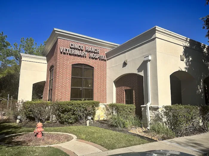 Cinco Ranch Veterinary Hospital Picture 1