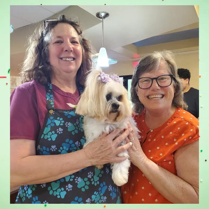 Cinco Ranch Veterinary Hospital Picture 3