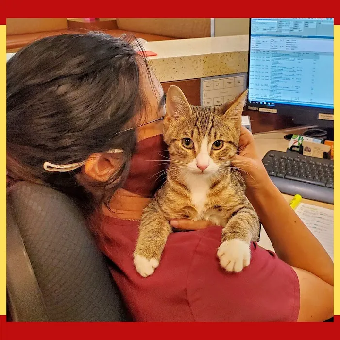 Cinco Ranch Veterinary Hospital Picture 4