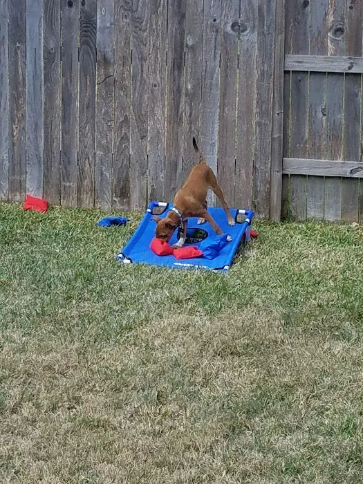 Cinco Animal Hospital Picture 6