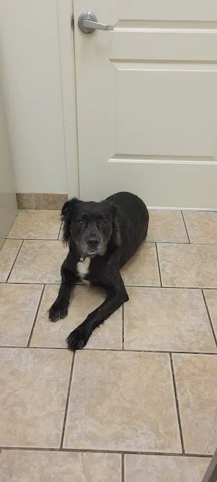 Cinco Animal Hospital Picture 9