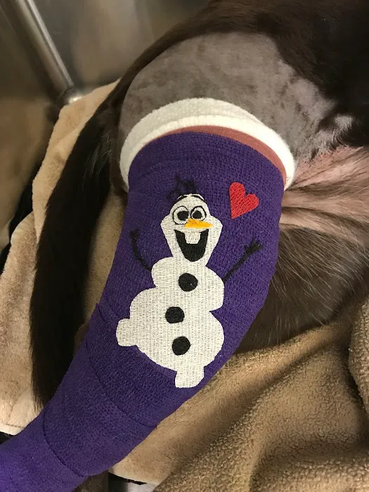 Cinco Animal Hospital Picture 10