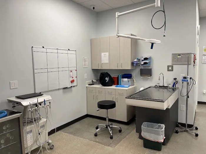 Bella Terra Animal Hospital Picture 3
