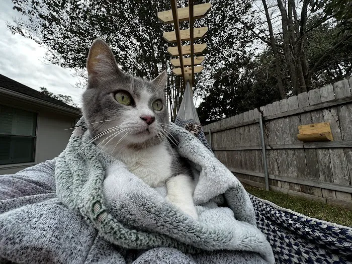 Bella Terra Animal Hospital Picture 2