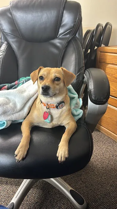 Bella Terra Animal Hospital Picture 4
