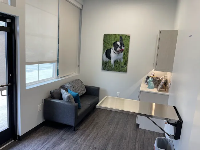 Bella Terra Animal Hospital Picture 6