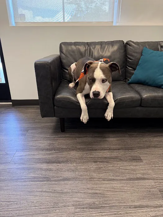 Bella Terra Animal Hospital Picture 10
