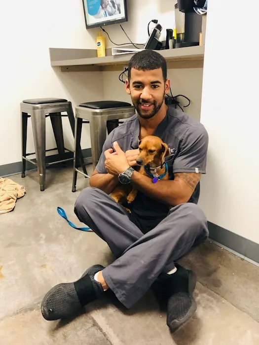 Thrive Pet Healthcare - Falcon Picture 2