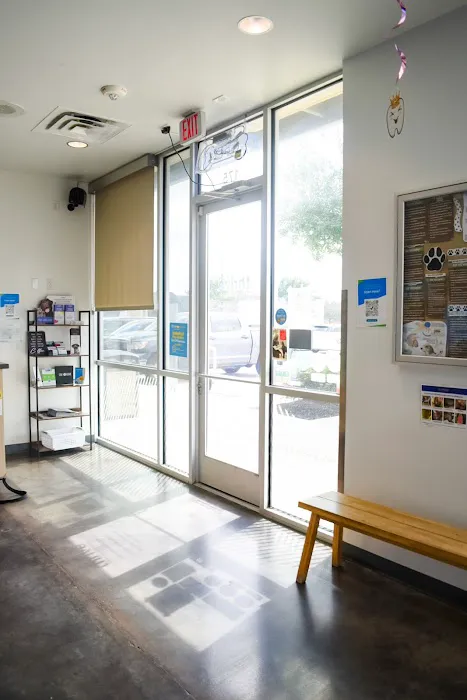 Thrive Pet Healthcare - Falcon Picture 6