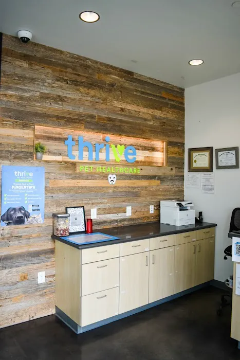Thrive Pet Healthcare - Falcon Picture 8