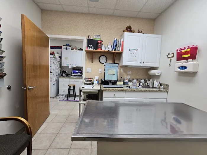 Animal Hospital of Katy Picture 1