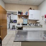 Animal Hospital of Katy
