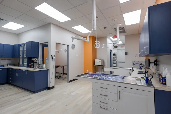 River Park Animal Hospital Picture 3