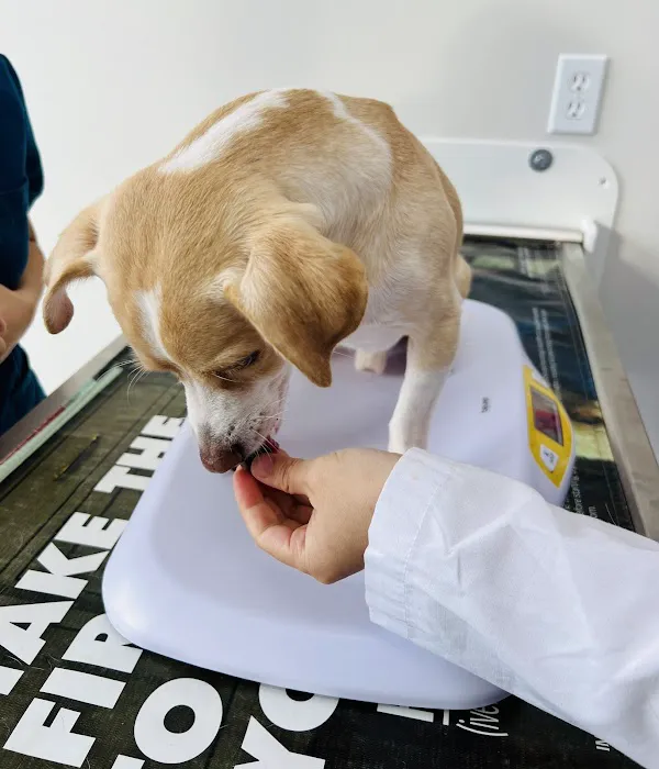 River Park Animal Hospital Picture 8