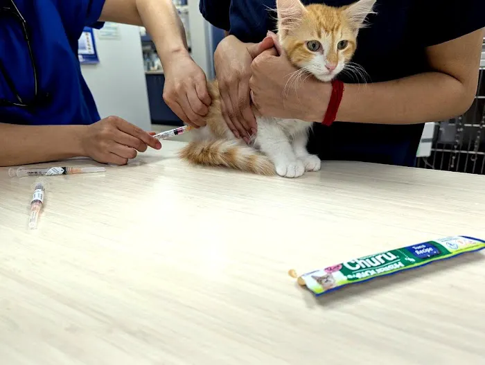 River Park Animal Hospital Picture 7
