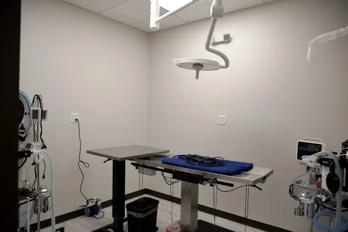 VetExpress Animal Urgent Care Picture 4