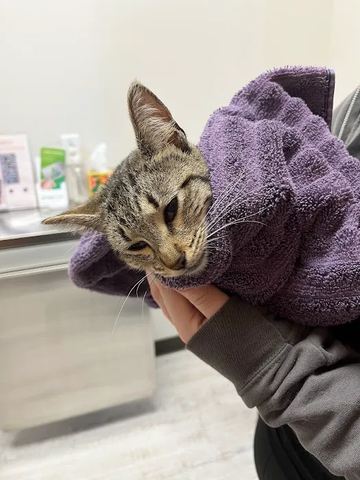 VetExpress Animal Urgent Care Picture 7