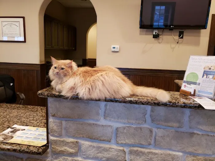 Greatwood Veterinary Hospital, Inc. Picture 8