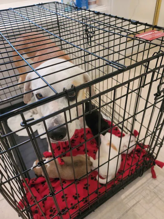 Texas Republic Veterinary Hospital Picture 7