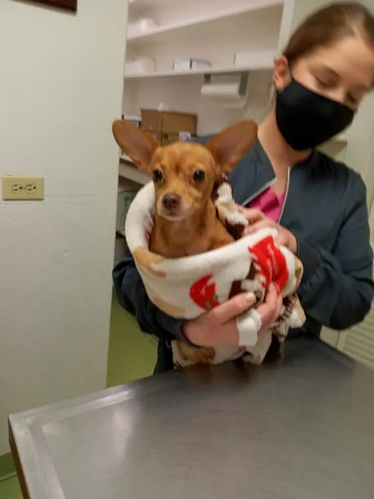 Richmond Animal Hospital Picture 5