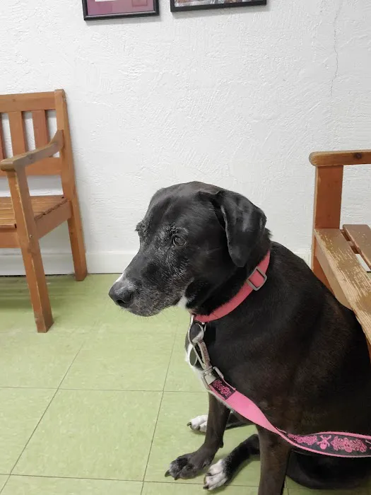 Richmond Animal Hospital Picture 7