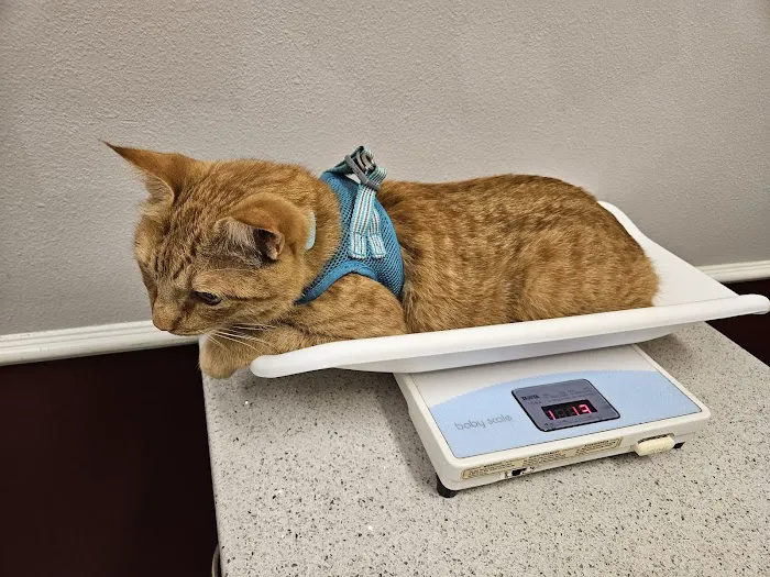 Rose-Rich Veterinary Clinic Picture 6