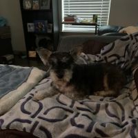 Rose-Rich Veterinary Clinic: Mc Donald Charles N DVM ico
