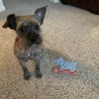 Rosenberg Veterinary Clinic ico