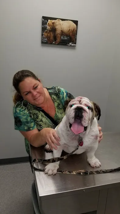 Rosenberg Veterinary Clinic Picture 2