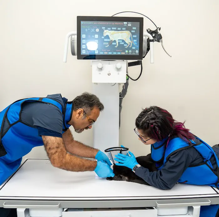 The Faith Babirye Veterinary Surgery and Diagnostics Center Picture 7
