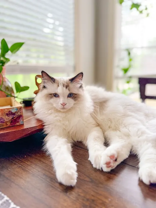 Katy Cattery Picture 4