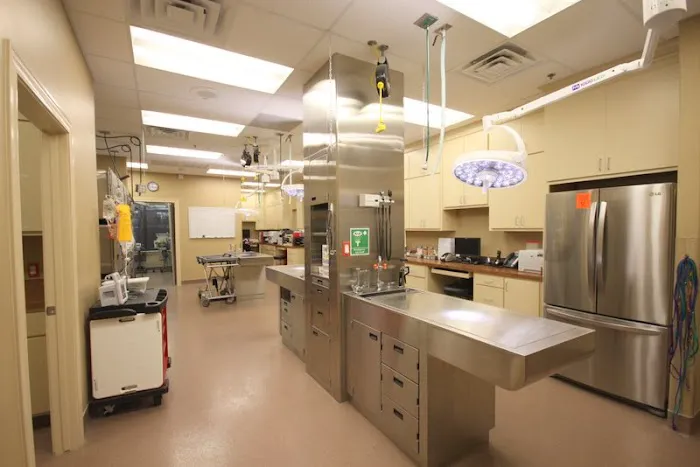 All Pets Animal Hospital Picture 1