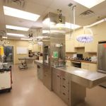 All Pets Animal Hospital