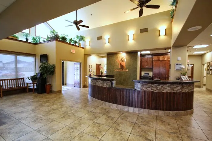 All Pets Animal Hospital Picture 9