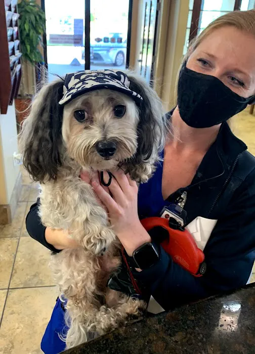 All Pets Animal Hospital Picture 10