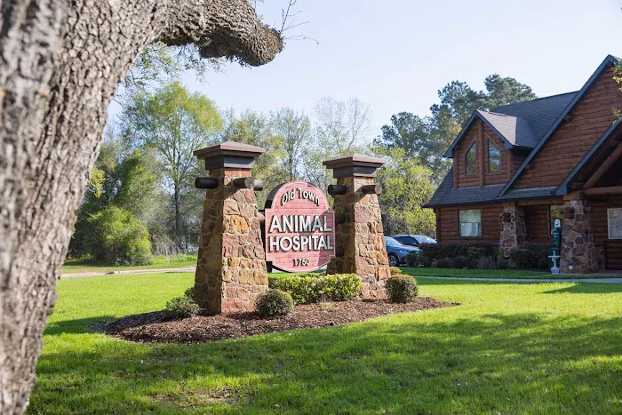 Old Town Animal Hospital Picture 2