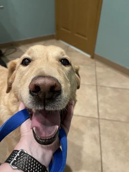 Old Town Animal Hospital Picture 8