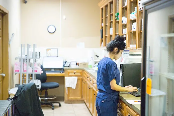 Old Town Animal Hospital Picture 7