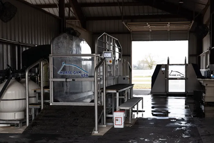 Smith Equine Performance Picture 2