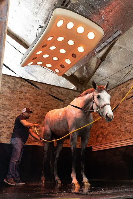 Smith Equine Performance Picture 1