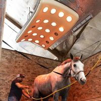 Smith Equine Performance ico
