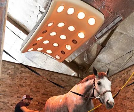 Smith Equine Performance