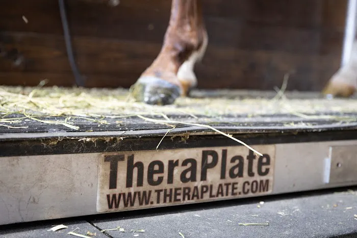 Smith Equine Performance Picture 4