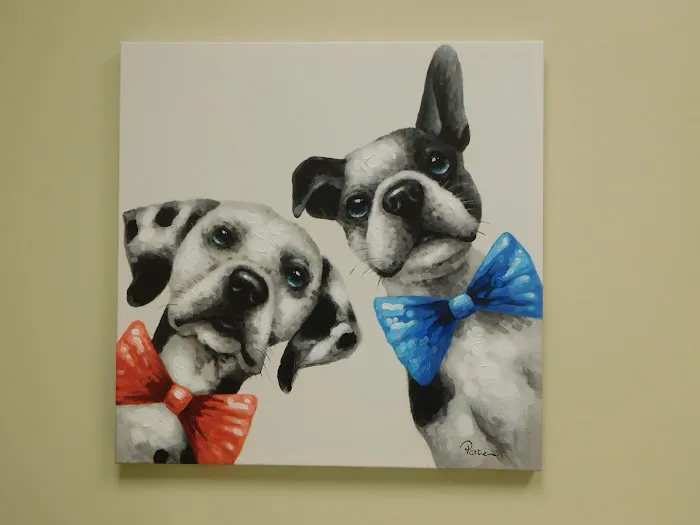 Pine Forest Animal Clinic Picture 8