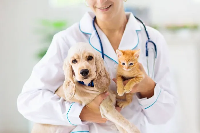 242 Animal Hospital Picture 3
