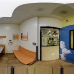 Banfield Pet Hospital