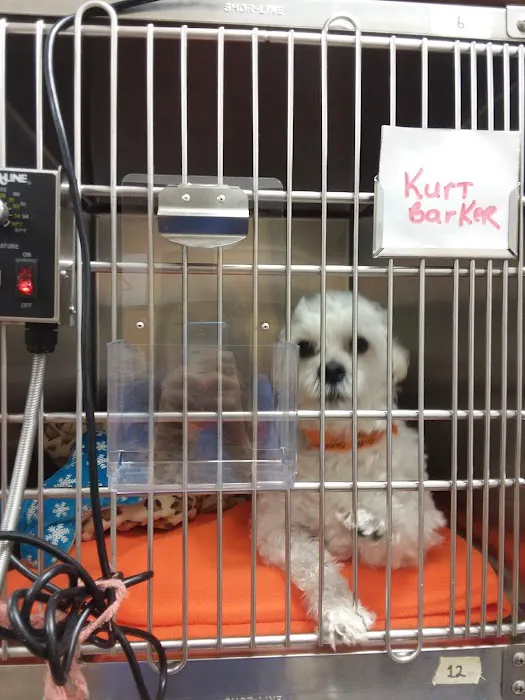 Banfield Pet Hospital Picture 6