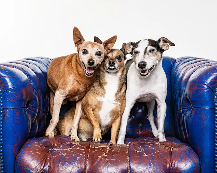 Banfield Pet Hospital Picture 1