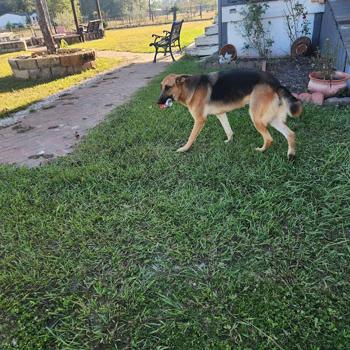 Lone Star Animal Hospital Picture 3